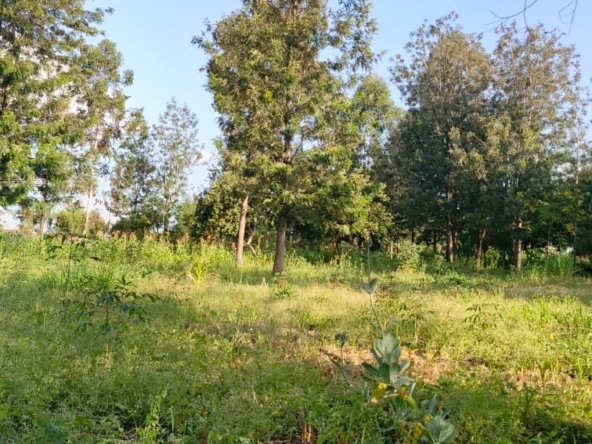 Quarter Acre Plots for Sale – Ngong Olkeri