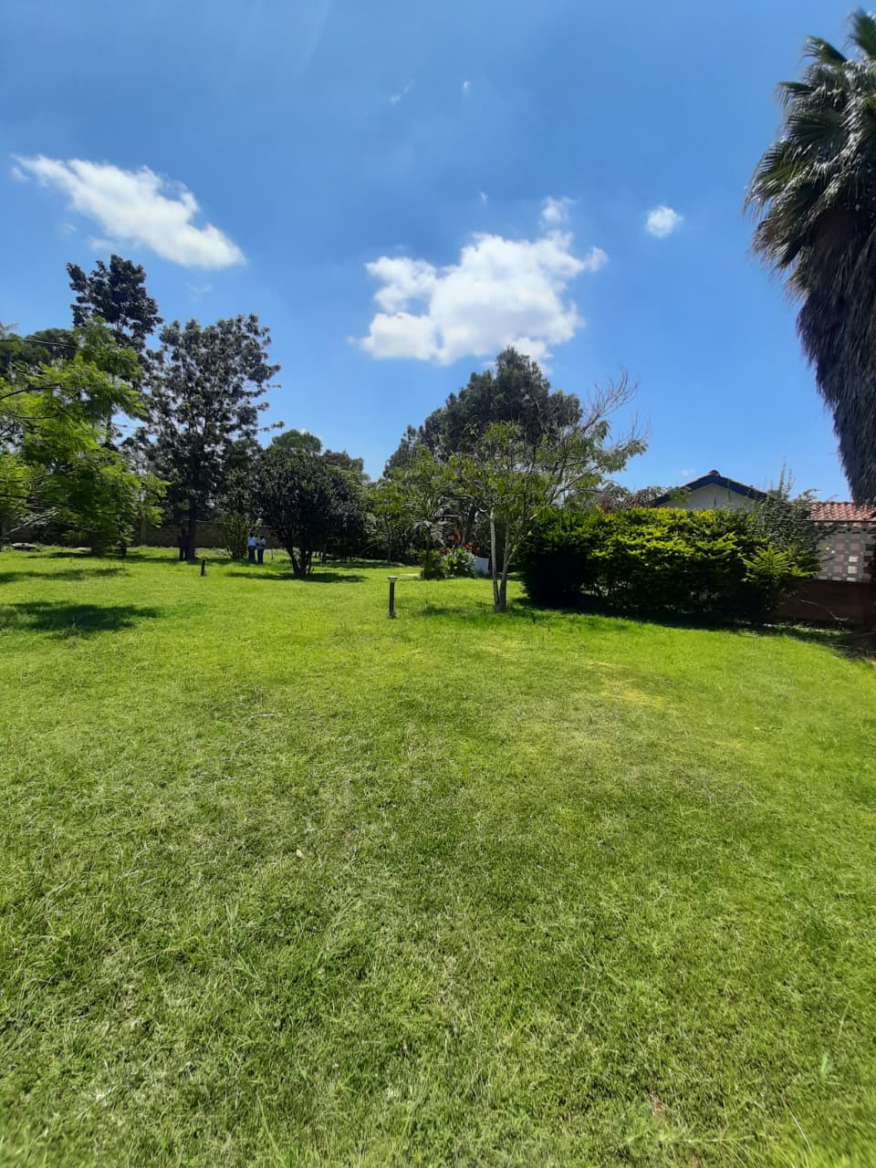 Prime 12-Acre Parcel for Sale in Karen – Near KEPHIS HQ