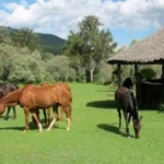 EXCLUSIVE RANCH FOR SALE – NAIVASHA, NAKURU COUNTY