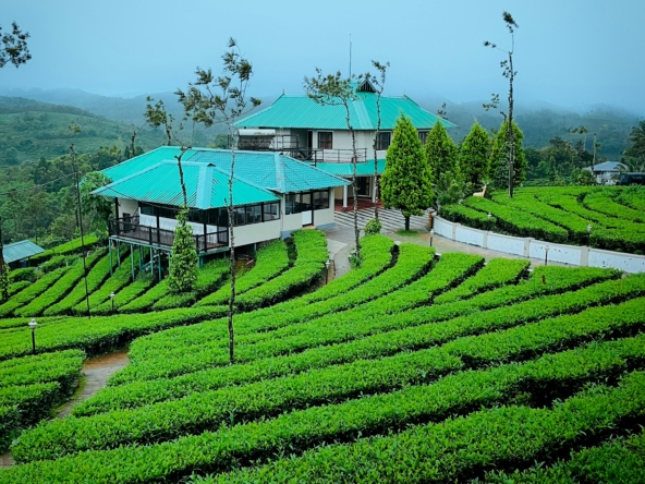 200 Acres of Pristine Tea Farm – Kiambu County