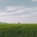 100x100 Plot – St. Benedicta, Utawala – Ksh 15M