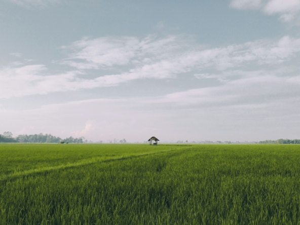 100x100 Plot – St. Benedicta, Utawala – Ksh 15M
