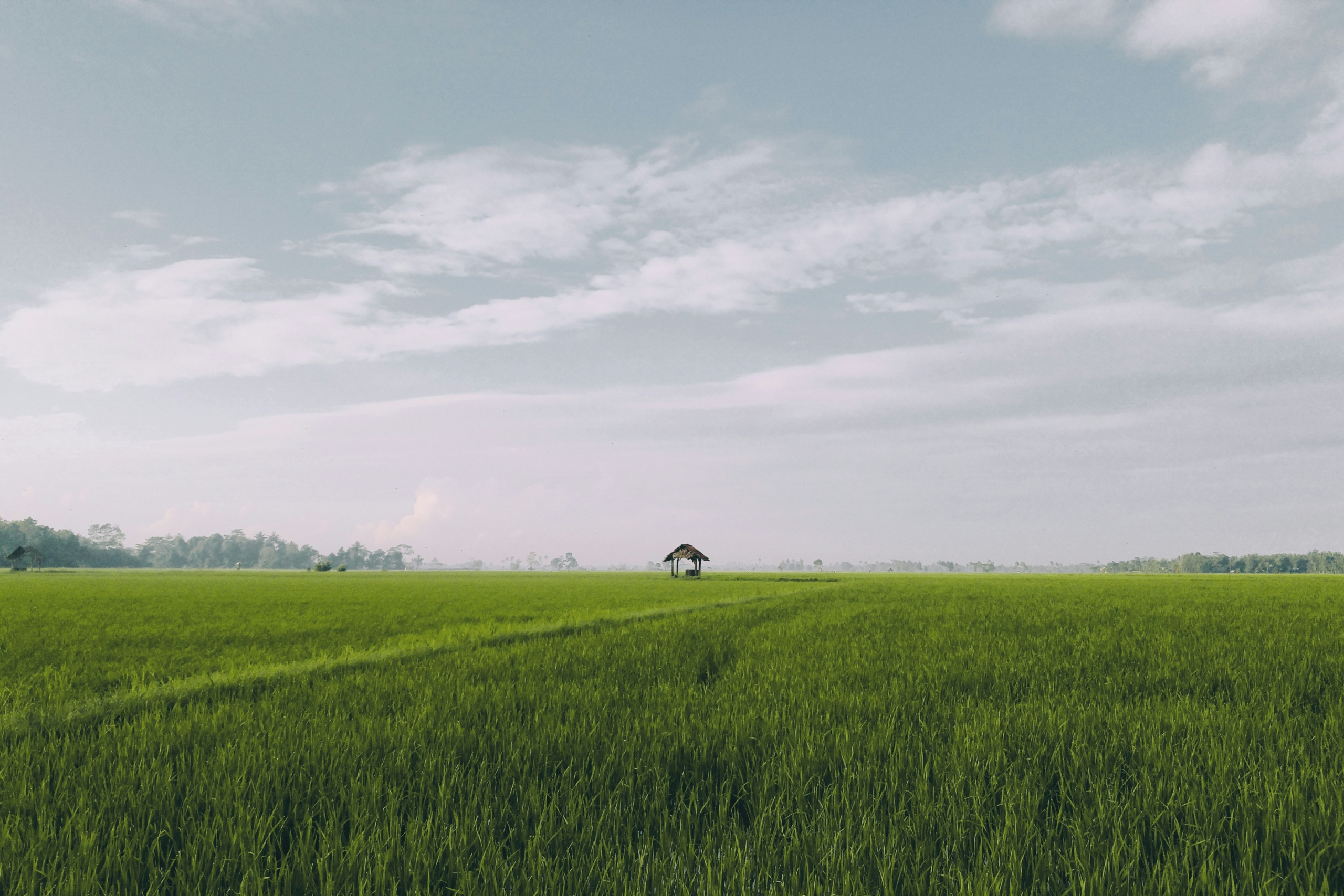 100x100 Plot – St. Benedicta, Utawala – Ksh 15M