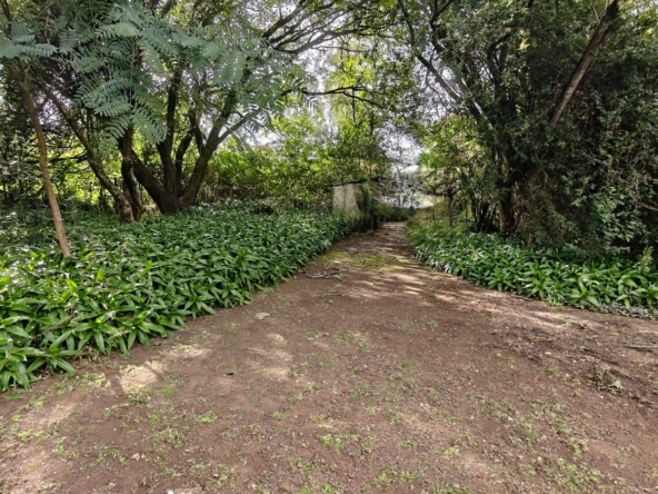 Prime 5 Acres for Sale in Karen