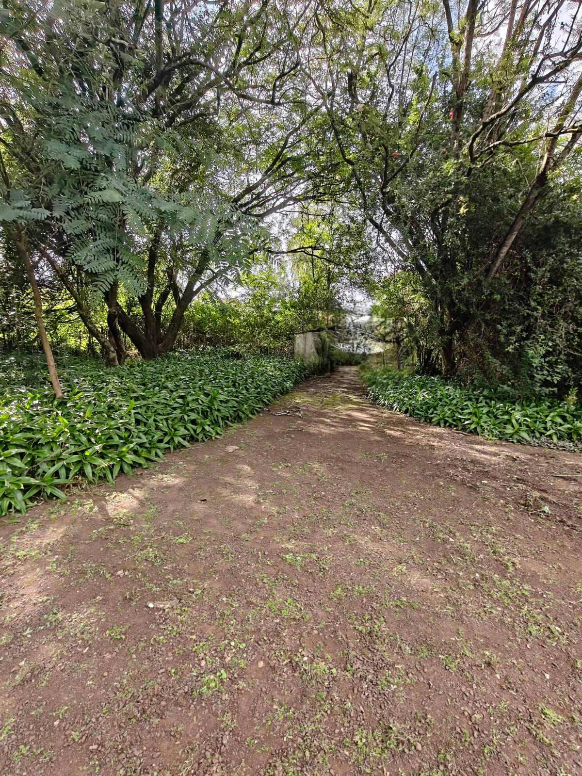 Prime 5 Acres for Sale in Karen