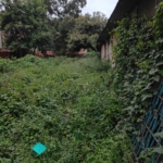 1/4 Acre Plot for Sale – Langata