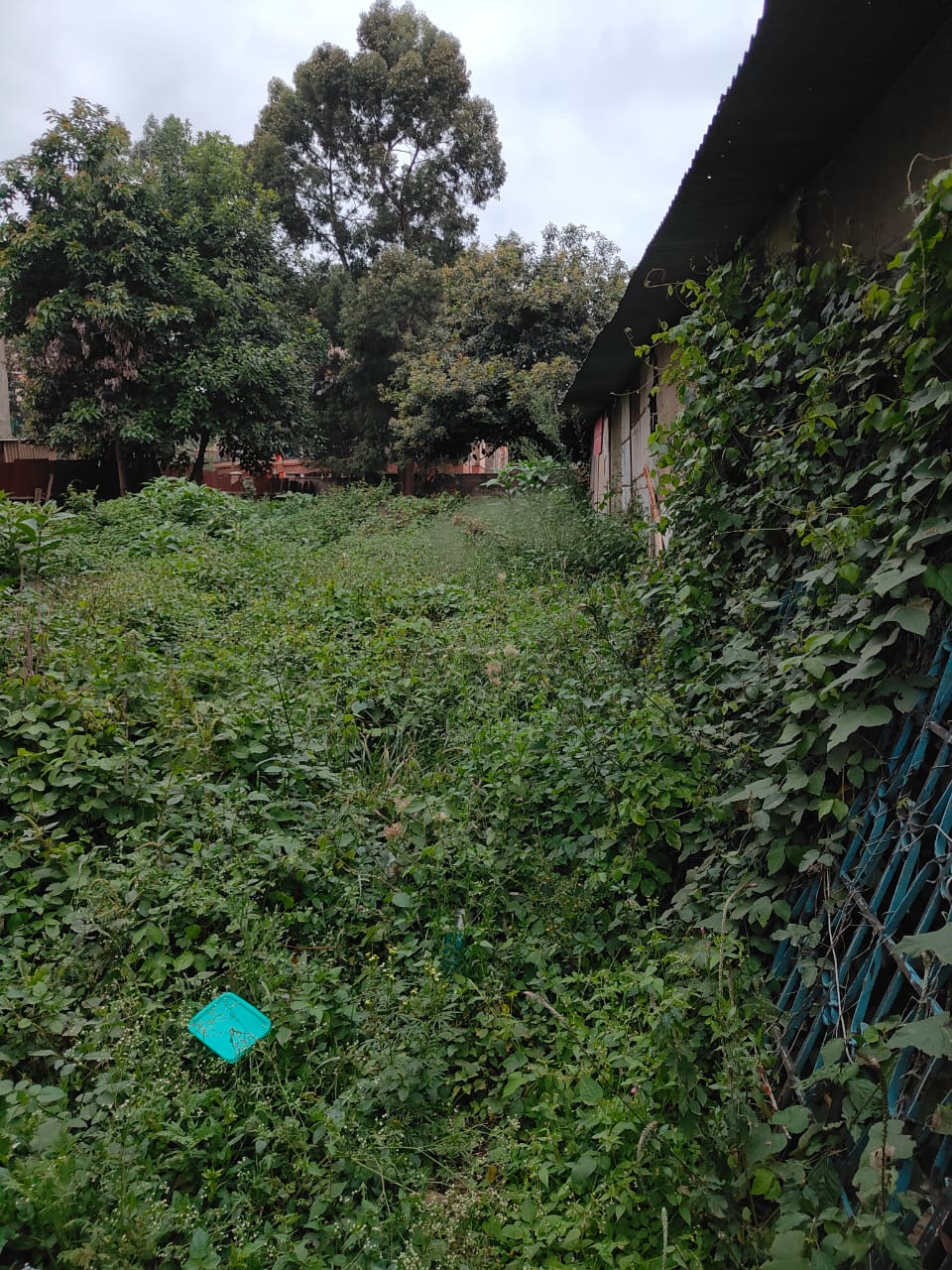 1/4 Acre Plot for Sale – Langata